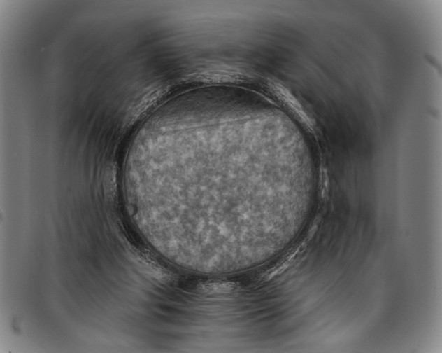 X0000096660202200802191314