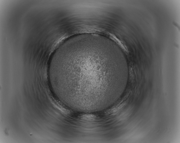 X0000096660203200802191314