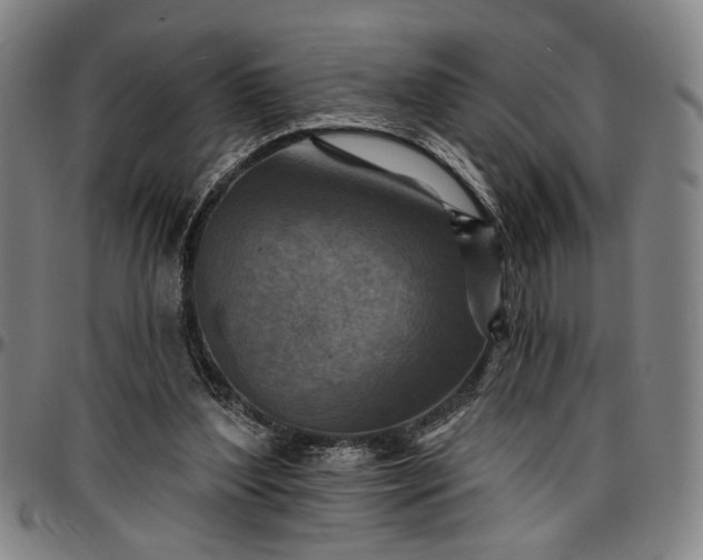 X0000096660204200802191314