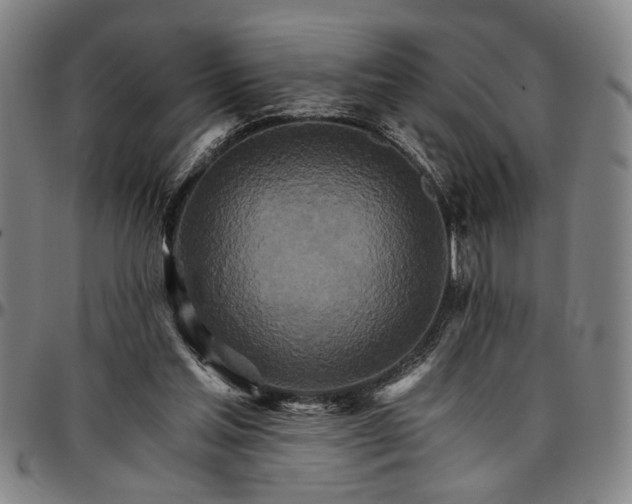 X0000096660205200802191314