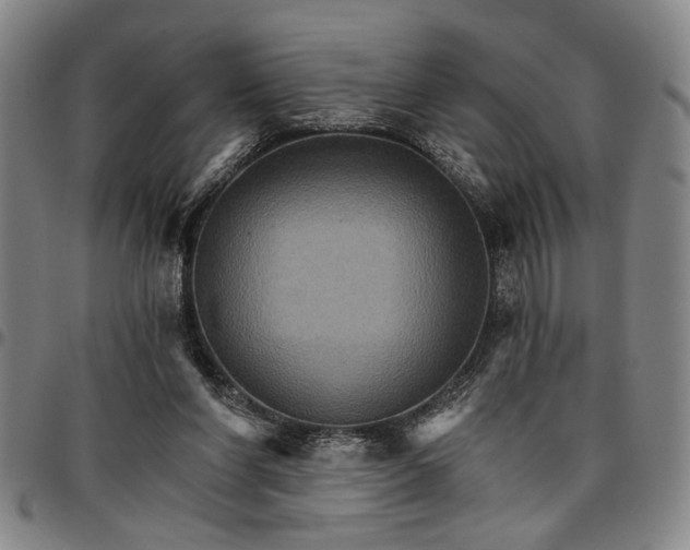 X0000096660206200802191314