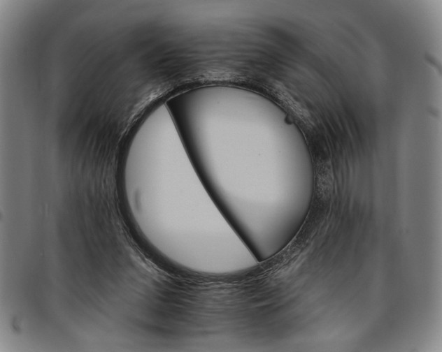 X0000096660207200802191314