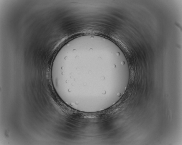 X0000096660208200802191314