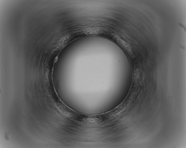 X0000096660209200802191314