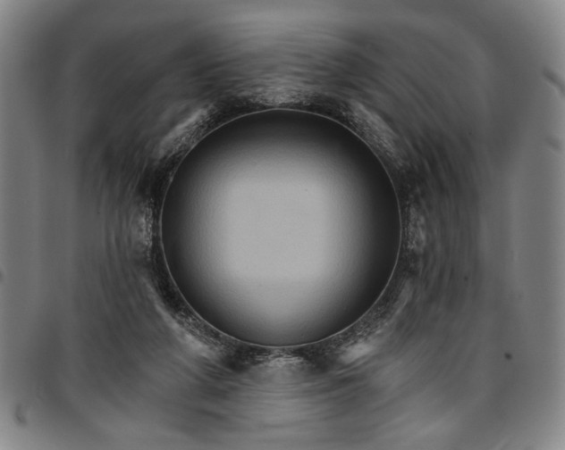 X0000096660210200802191314