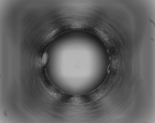 X0000096660211200802191314