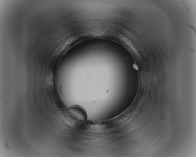 X0000096660212200802191314