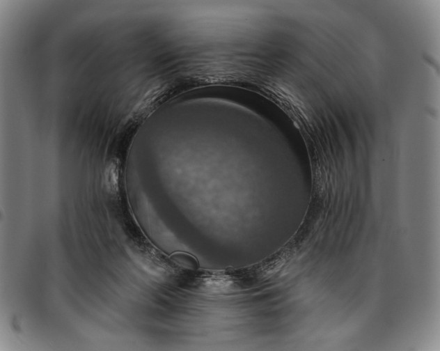 X0000096660214200802191314