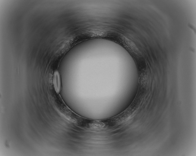 X0000096660215200802191314