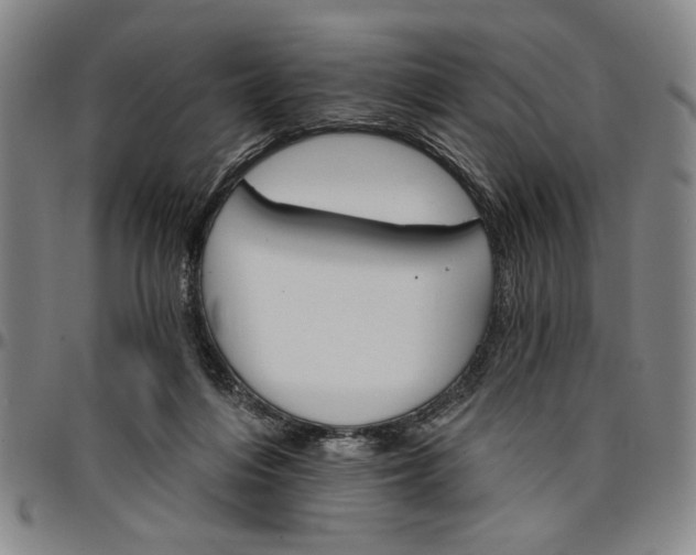 X0000096660216200802191314