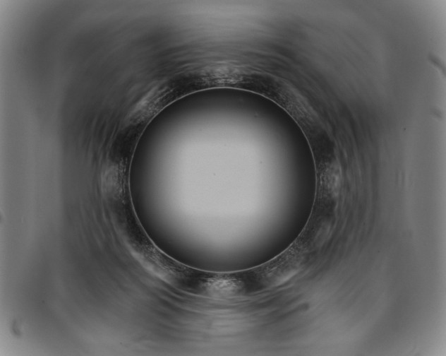 X0000096660218200802191314