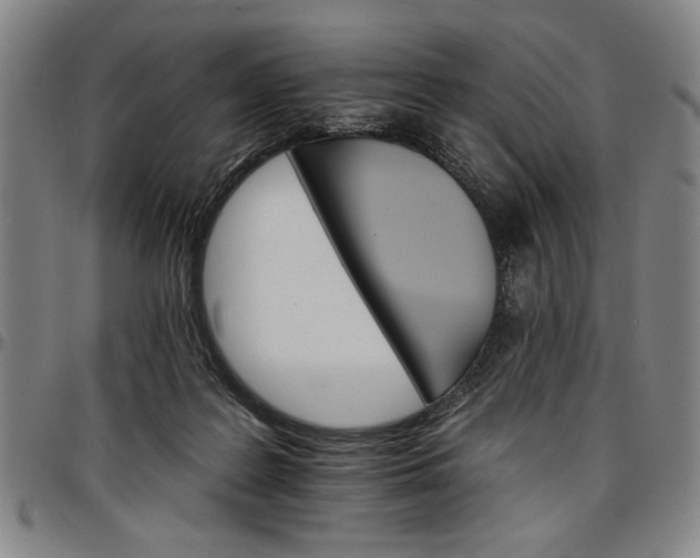 X0000096660219200802191314