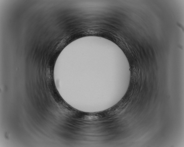 X0000096660220200802191314