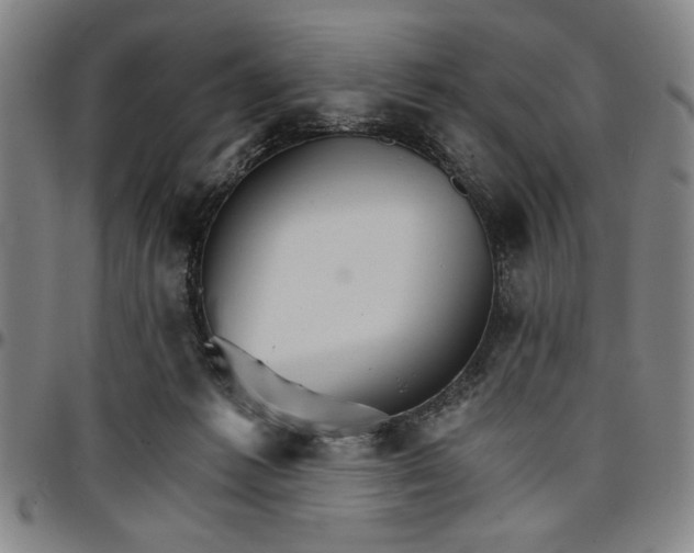 X0000096660221200802191314