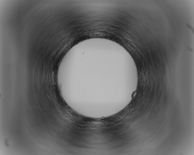 X0000096660224200802191314