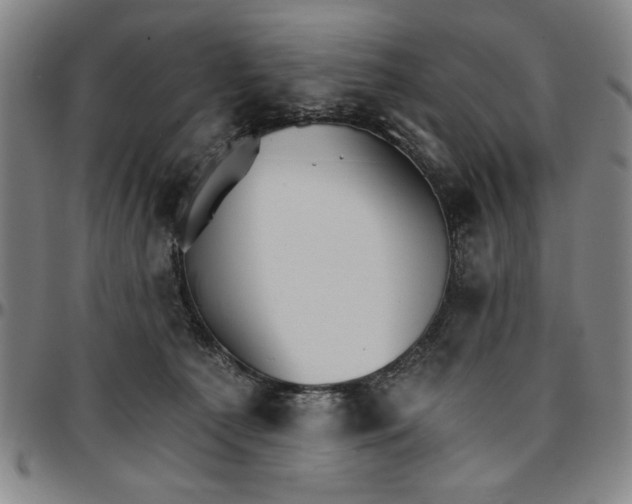 X0000096660225200802191314