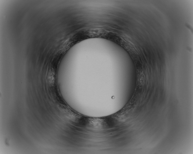 X0000096660226200802191314