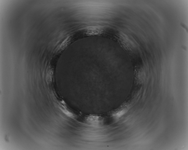 X0000096660227200802191314