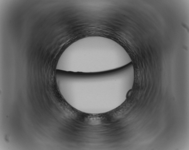 X0000096660228200802191314