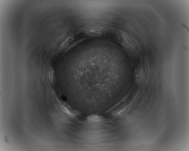 X0000096660231200802191314