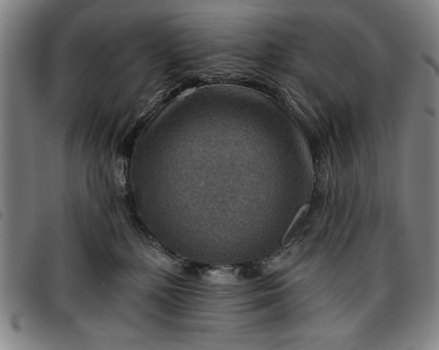 X0000096660232200802191314