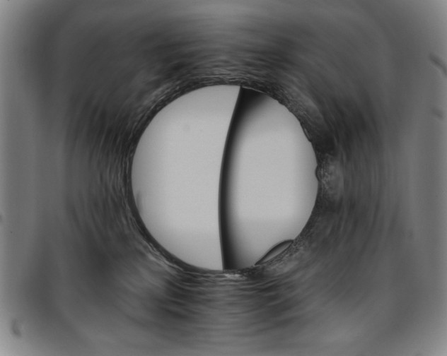 X0000096660233200802191314