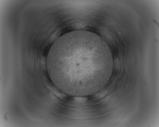 X0000096660234200802191314