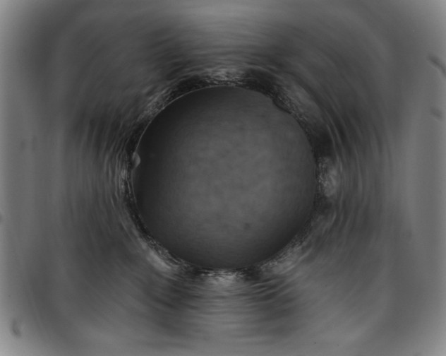 X0000096660235200802191314