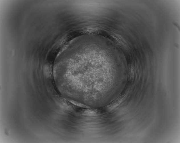 X0000096660236200802191314