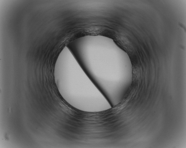 X0000096660237200802191314