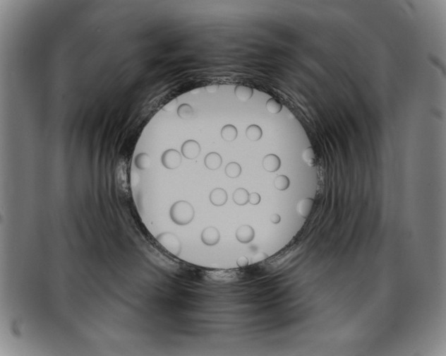 X0000096660238200802191314