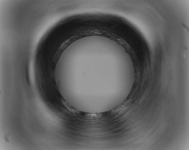 X0000096660239200802191314