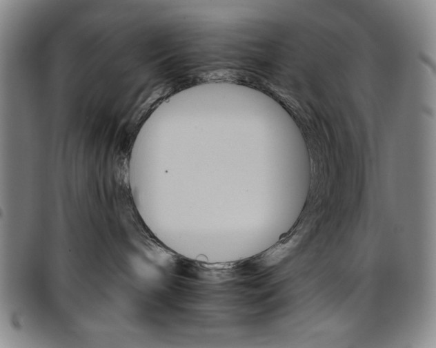 X0000096660240200802191314