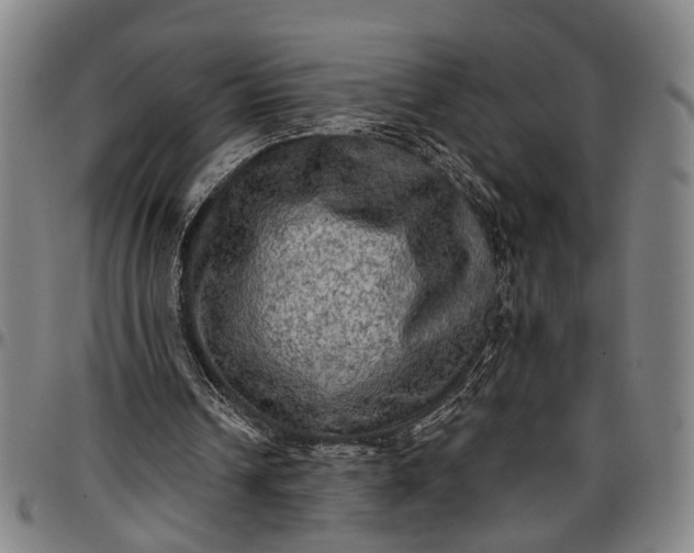 X0000096660242200802191313