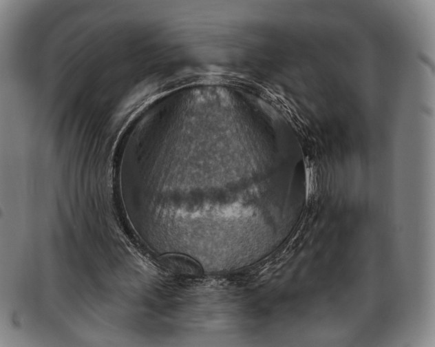 X0000096660243200802191313