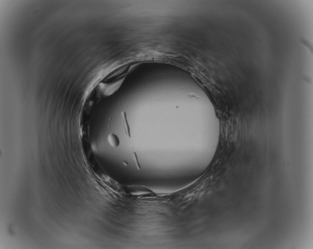 X0000096660244200802191313