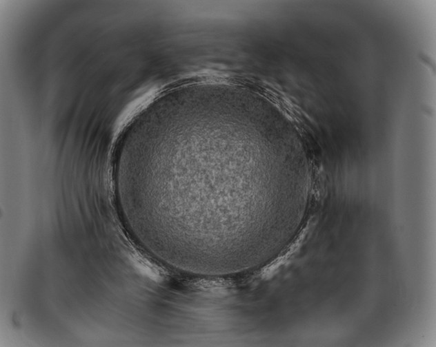 X0000096660245200802191313