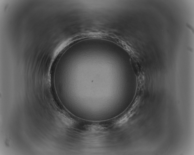 X0000096660246200802191313