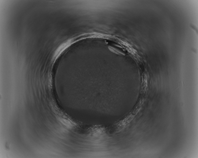 X0000096660247200802191313