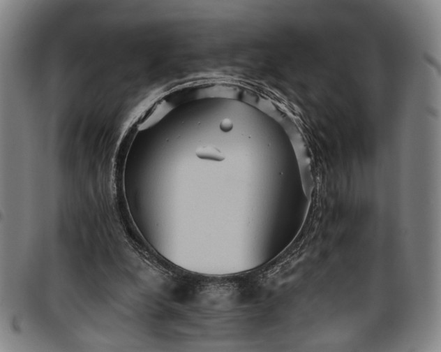 X0000096660248200802191313