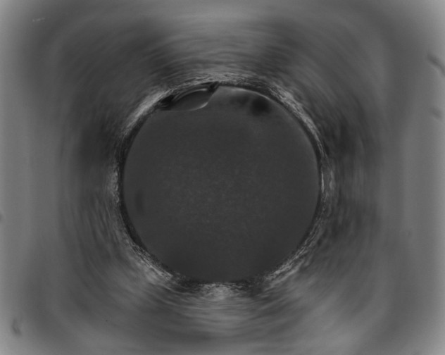 X0000096660249200802191313