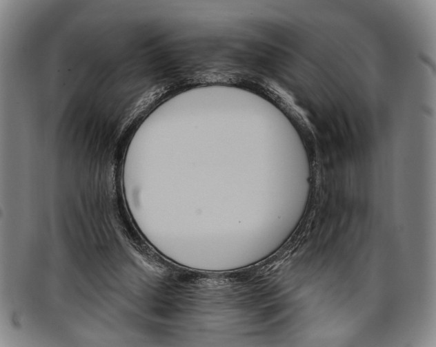 X0000096660250200802191313