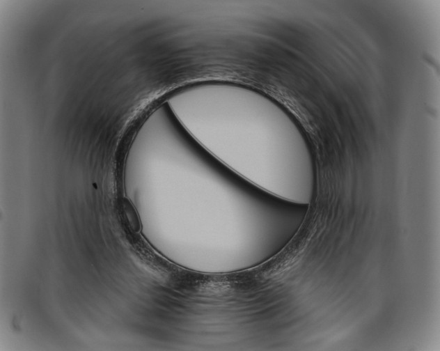 X0000096660252200802191313