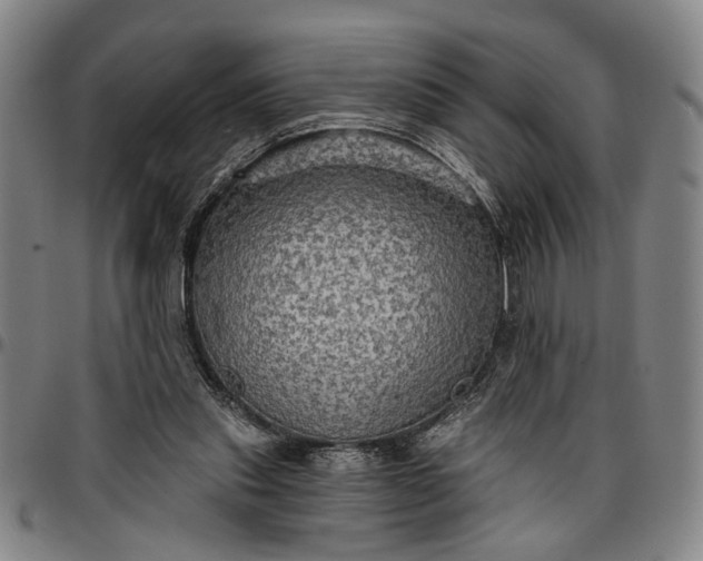 X0000096660253200802191313