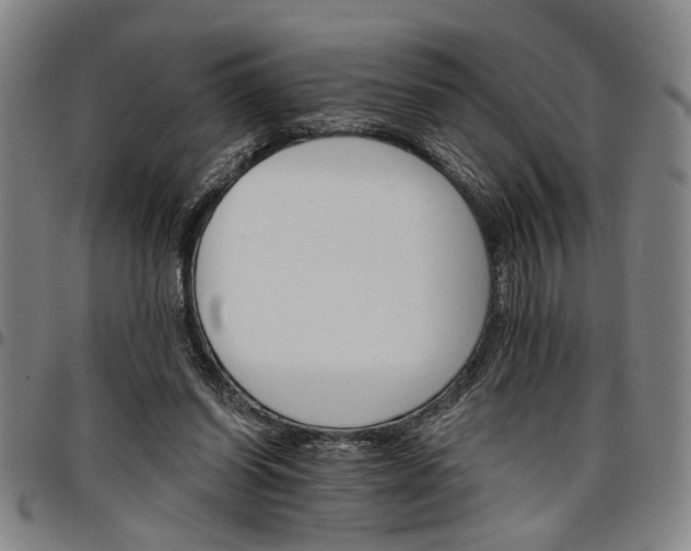 X0000096660254200802191313