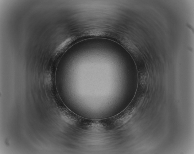 X0000096660256200802191313