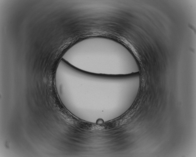 X0000096660257200802191313