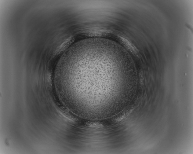 X0000096660258200802191313