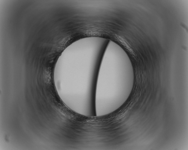 X0000096660259200802191313