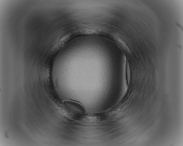 X0000096660260200802191313